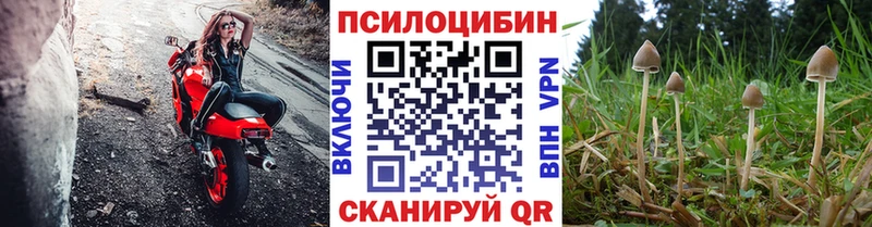 Псилоцибиновые грибы мицелий  OMG tor  Лобня 