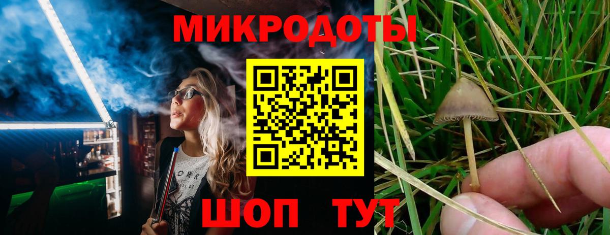 Псилоцибиновые грибы мухоморы Лобня